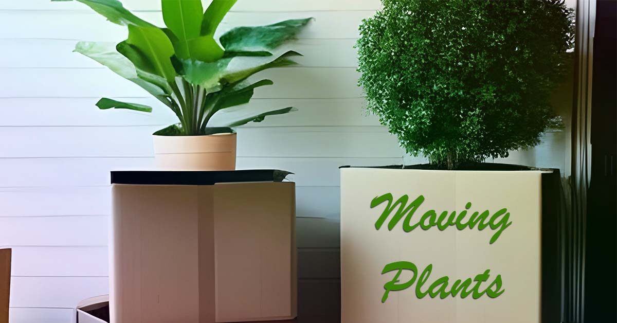 Do Moving Companies Move Plants?
